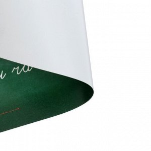 Накладка на стол пластиковая А3 (460 х 330 мм), Calligrata "Пиши правильно. Письмо", 430 мкм, обучающая
