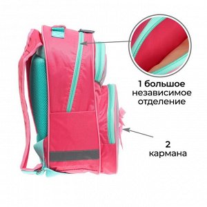 Рюкзак школьный, 37 х 26 х 13 см, эргономичная спинка, Calligrata АН "Пуанты"