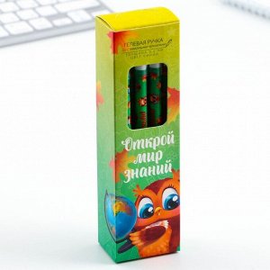 Ручка ПИШИ-СТИРАЙ с колпачком «Открой мир знаний», синяя паста, гелевая 0,5 мм.