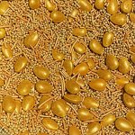 Посыпка сахарная, Пасхальная золотая