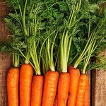 Сладкая морковочка