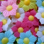 Вафельные цветы Нарциссы, 5 шт