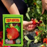 Удобрения для ягод и овощей! Позаботимся о нашем урожае)