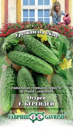 Огурец Берендей 10шт
