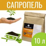 Сапропель 10 л (~ 5.5 кг)