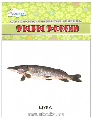 Уч.карточки"Рыбы России"