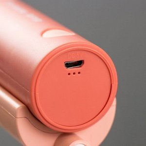 Настольная лампа «Лансер» LED 3.5 Вт USB АКБ красно-розовый 11x15x45 см RISALUX