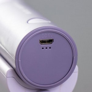 Настольная лампа «Лансер» LED 3.5 Вт USB АКБ фиолетовый 11x15x45 см RISALUX