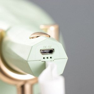Настольная лампа "Делсер" LED 3Вт USB АКБ зелёный 14х13х39 см RISALUX