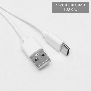 Настольная лампа сенсорная "Классен" LED 3Вт АКБ USB бело-голубая 14х13,5х57 см RISALUX