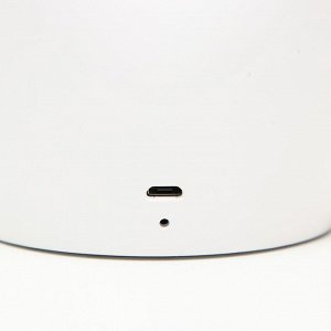 Ночник с увлажнителем "Любляна" LED 7 цветов USB белый 11х7х18 см RISALUX