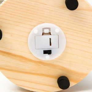 Фигурка световая в колбе RISALUX «Романтика», LED-ночник, от батареек 3xLR44, 11x11x25 см, МИКС