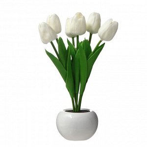 Ночник "Белые тюльпаны" LED 1,2Вт 4000К белый 9х9х25см