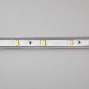 Светодиодная лента Ecola, 220В, 14x7 мм, SMD5050, 10 м, IP68, 7.2 Вт/м, 30 LED/м, 2800К