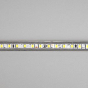 Светодиодная лента Uniel, 10x7 мм, 50 м, LED/м-120-SMD2835-220V, 10 Вт/м, IP67, 4000К