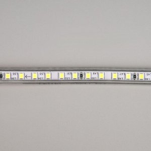Светодиодная лента Uniel, 10x7 мм, 50 м, LED/м-120-SMD2835-220V, 10 Вт/м, IP67, 6500К