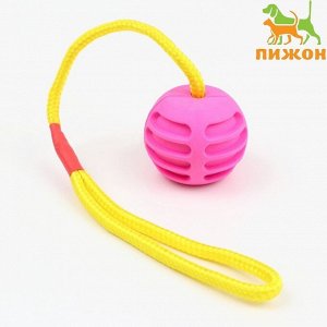 Игрушка "Шар усиленный на веревке", 43 см, шар 6 см, розовый   7887622