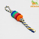 Игрушка жевательная &quot;Шестерёнка на канате&quot;, 32 см, диаметр колец 5 см, микс цветов
