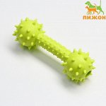 Игрушка жевательная &quot;Грозная гантель&quot;, 15 х 5 см, салатовая