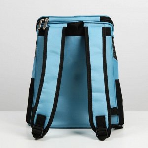 Рюкзак для переноски животных «Хороший мальчик» 31х23х30 см