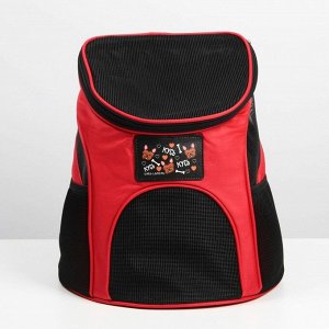 Рюкзак для переноски животных «Кусь, кусь, кусь» 31х23х30 см