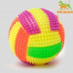 Мяч для собак светящийся с пищалкой &quot;Водное поло&quot;, TPR, 7 см, микс цветов