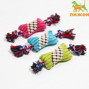 Игрушка мягкая для собак «Особая кость на канате», с пищалкой, 25 см, микс цветов