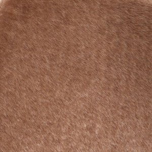 Комплекс для кошек с когтеточкой, разборный, 8ми уровневый, 77 х 90 х 163 см, бежевый