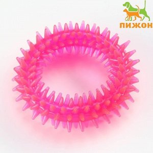 Игрушка жевательная для собак "Игольчатое кольцо", 9 см, розовая