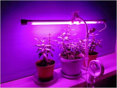Освещение для дома. От спальни до света для вечеринок — Фитолампы / светильники для растений