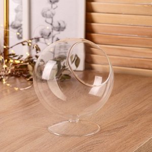 Флорариум «Натурель», сфера, d=8 см, 17x15 см, стекло, прозрачный