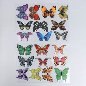 Наклейка  интерьерная цветная "Музей бабочек" 25х35 см МИКС 9413031
