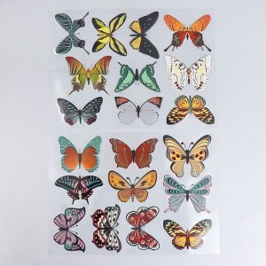 Наклейка  интерьерная цветная "Музей бабочек" 25Х35 см МИКС