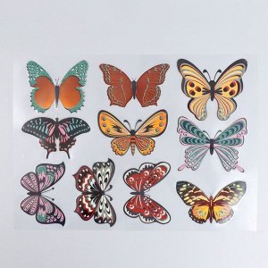 Наклейка  интерьерная цветная "Музей бабочек" 25х35 см МИКС