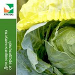 Шапочка для капусты (5шт/уп)