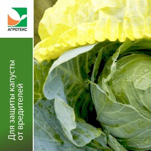 Шапочка для капусты (5шт/уп)