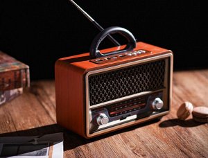 Портативный радиоприемник с Bluetooth, FM