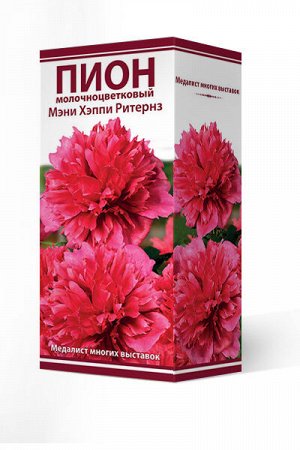 Пион молочноцветковый Мэни Хэппи Ритернз/Поиск/(1шт.-уп.)