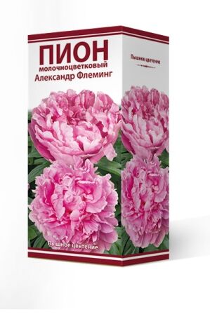 Пион молочноцветковый Александр Флеминг/Поиск/(1шт.-уп.)