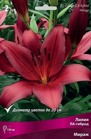 Лилия ЛА-Гибрид Мираж/Поиск/(2 шт.-уп.)