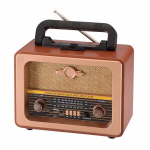 Портативный радиоприемник NNS NS-8073 Bluetooth, FM