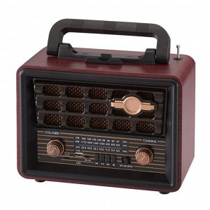Портативный радиоприемник NNS NS-8072 Bluetooth, FM