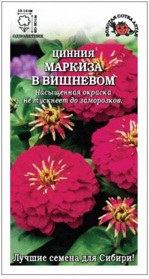 Цветы Цинния Маркиза в Вишневом ЦВ/П (Сотка) 0,3гр однолетник 70-90см