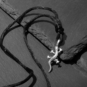 Кулон-амулет «Саламандра», цвет чернёное серебро на чёрном шнурке, 43 см