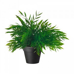 Фейка Искусственное растение выглядит как живое и сохраняет привлекательный внешний вид на долгие годы.
Размер
10 см