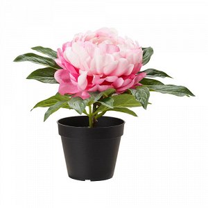 Фейка Искусственное растение в горшке, Пион розовый
12 см