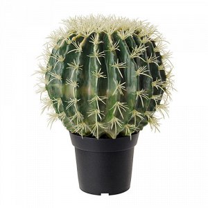 Фейка Искусственное растение в горшке, кактус, в форме шара
Размер
15 см