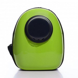 Рюкзак для переноски животных с окном для обзора, 32 х 25 х 42 см, зелёный