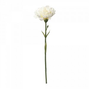Смикка Цветок искусственный, гвоздика, белый
30 см
