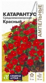 Катарантус Средиземноморский Красный 5шт